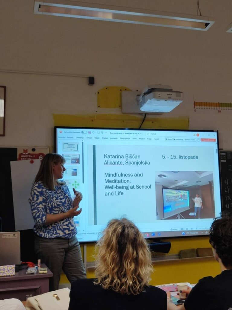 erasmus projekt